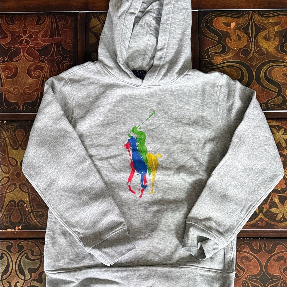 Polo by Ralph Lauren Gray Hoodie with Multicolor Polo Player